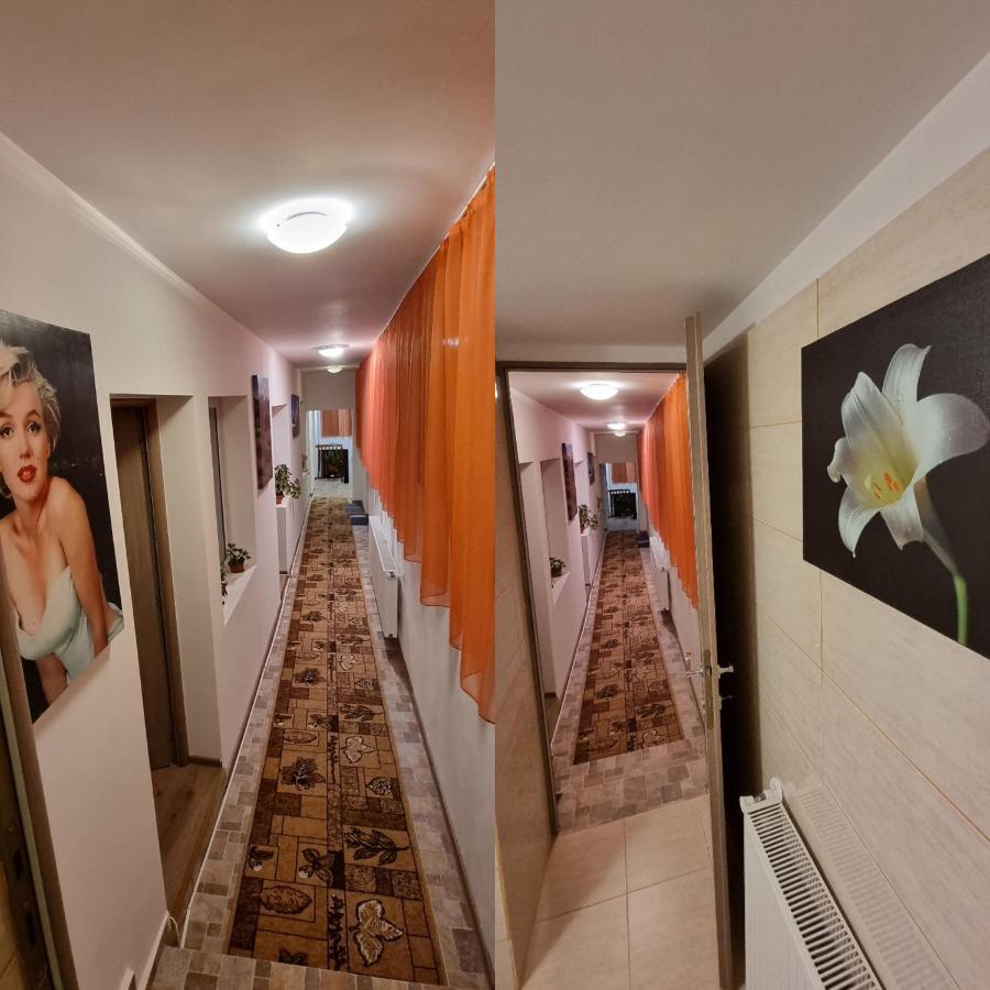 Roca House Braşov Exterior foto